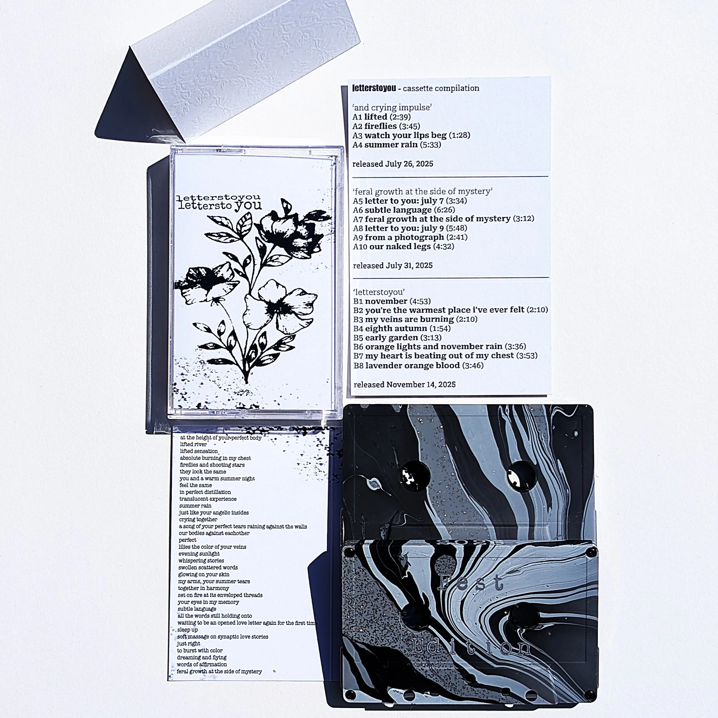 fest product pic.jpg