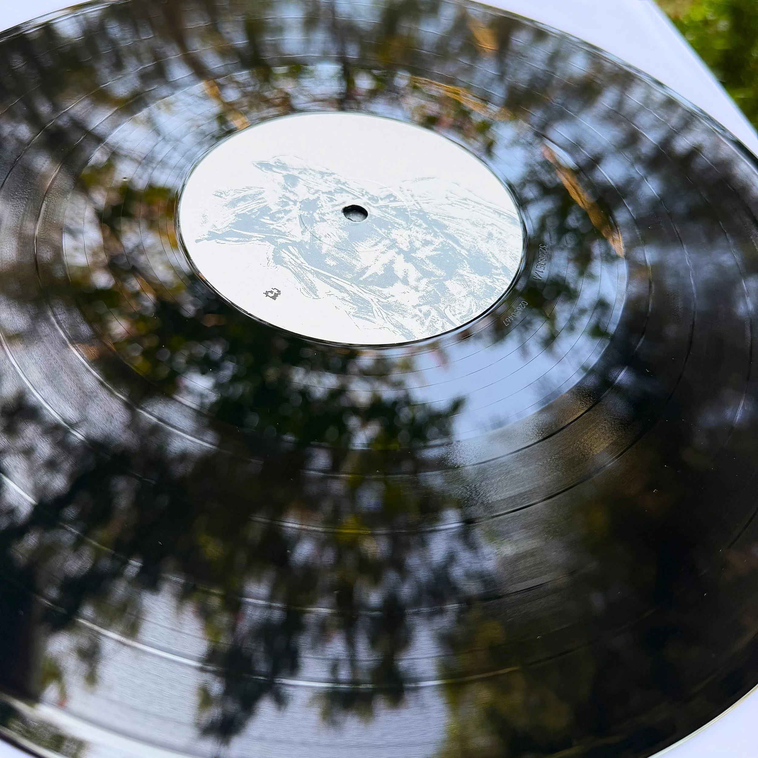 5 vinyl.jpeg