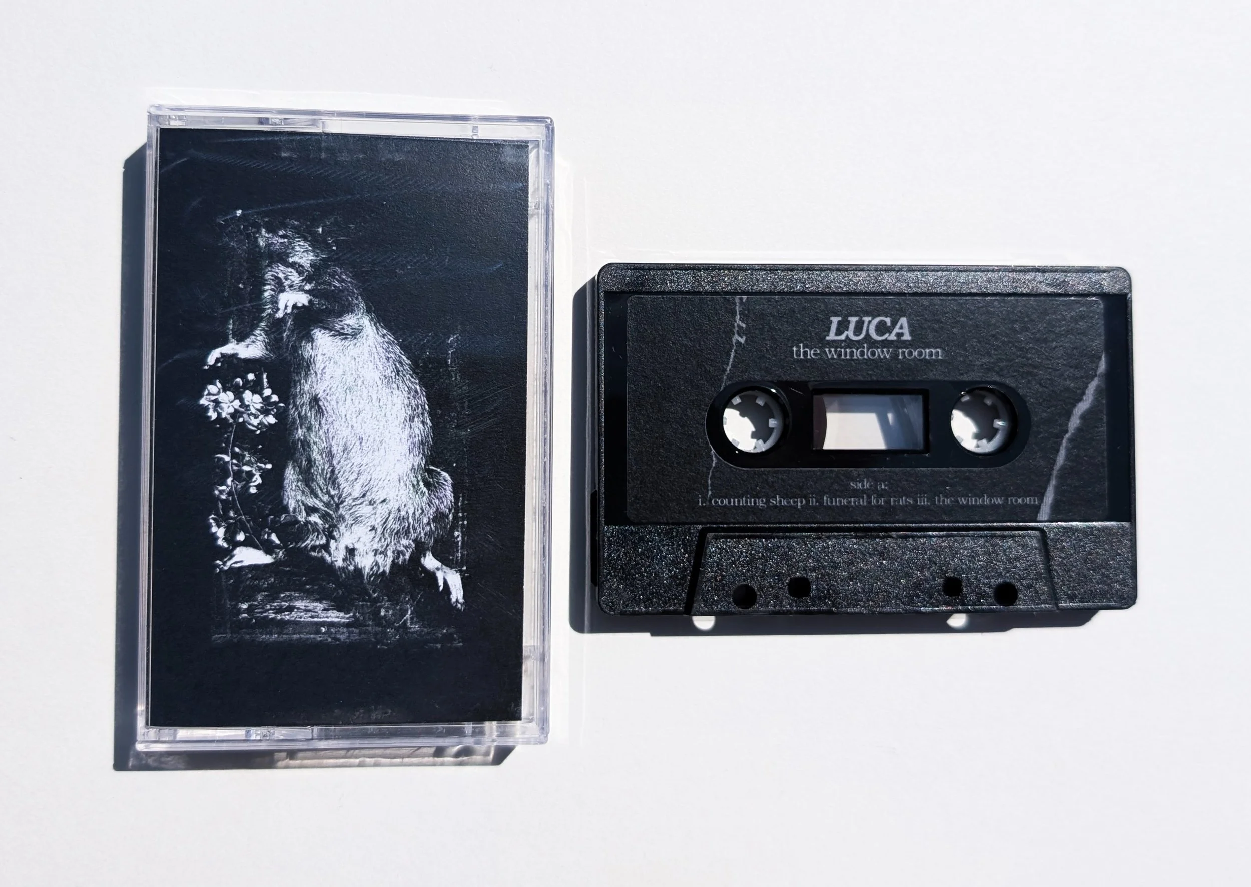 luca.jpg