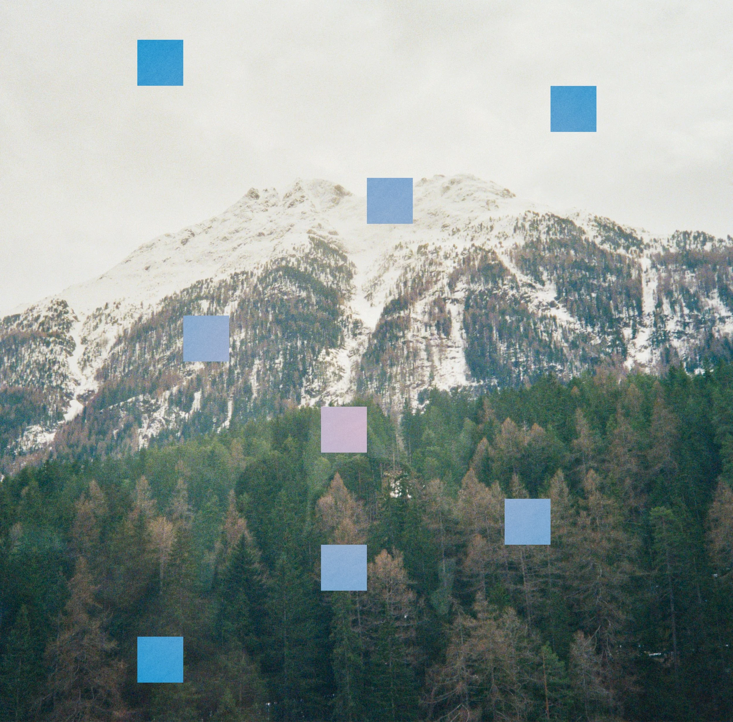 EEDG_Digital Cover.jpg