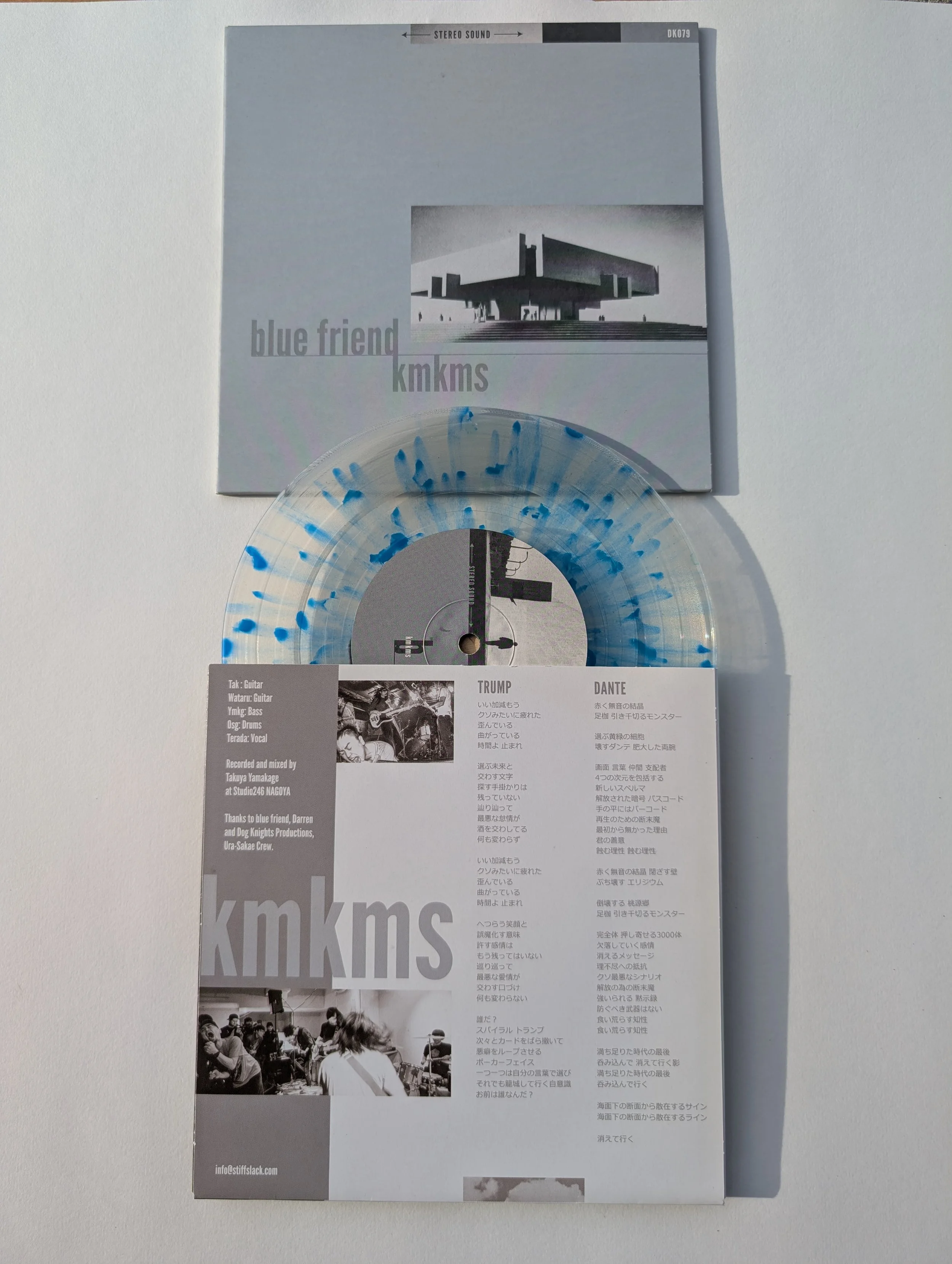 blue friend...split-.jpg