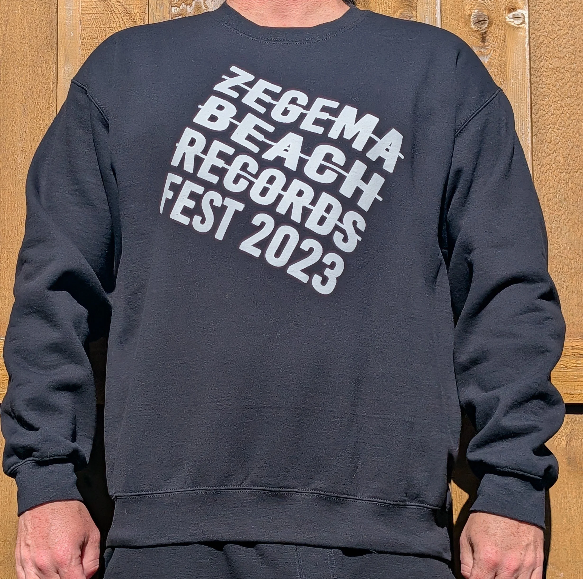 ZBR Fest Dave 1.jpg