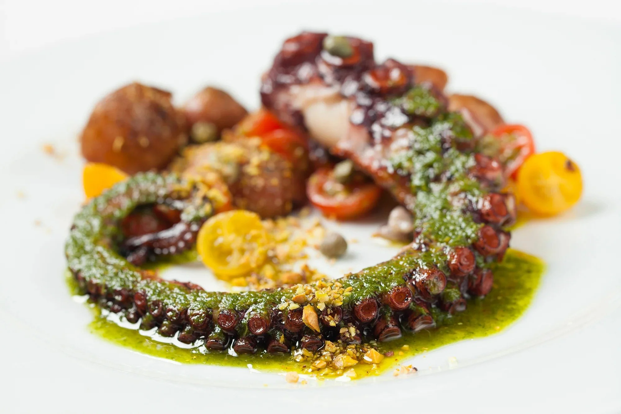 Plated octopus dish with colorful garnish, cookbook photography by a Los Angeles cookbook photographer