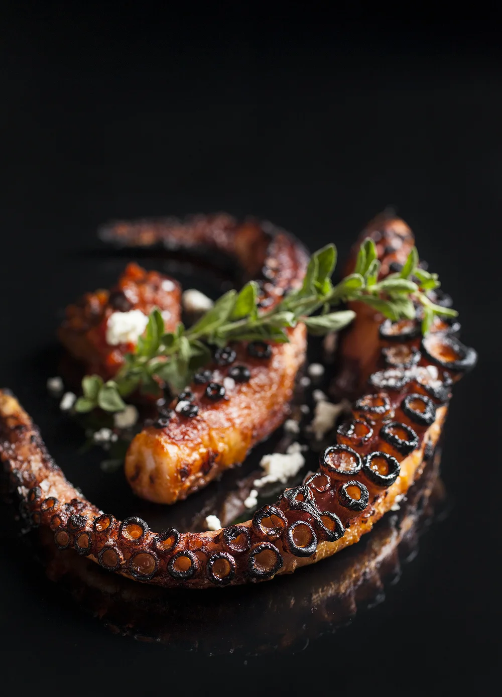 Grilled octopus tentacle garnished with herbs, salt, and black pepper on a black plate. San Diego food photogr