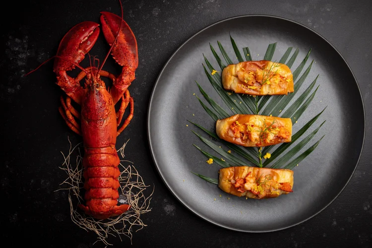 Lobster beside lobster roll bites on a black background - moody dark food photography