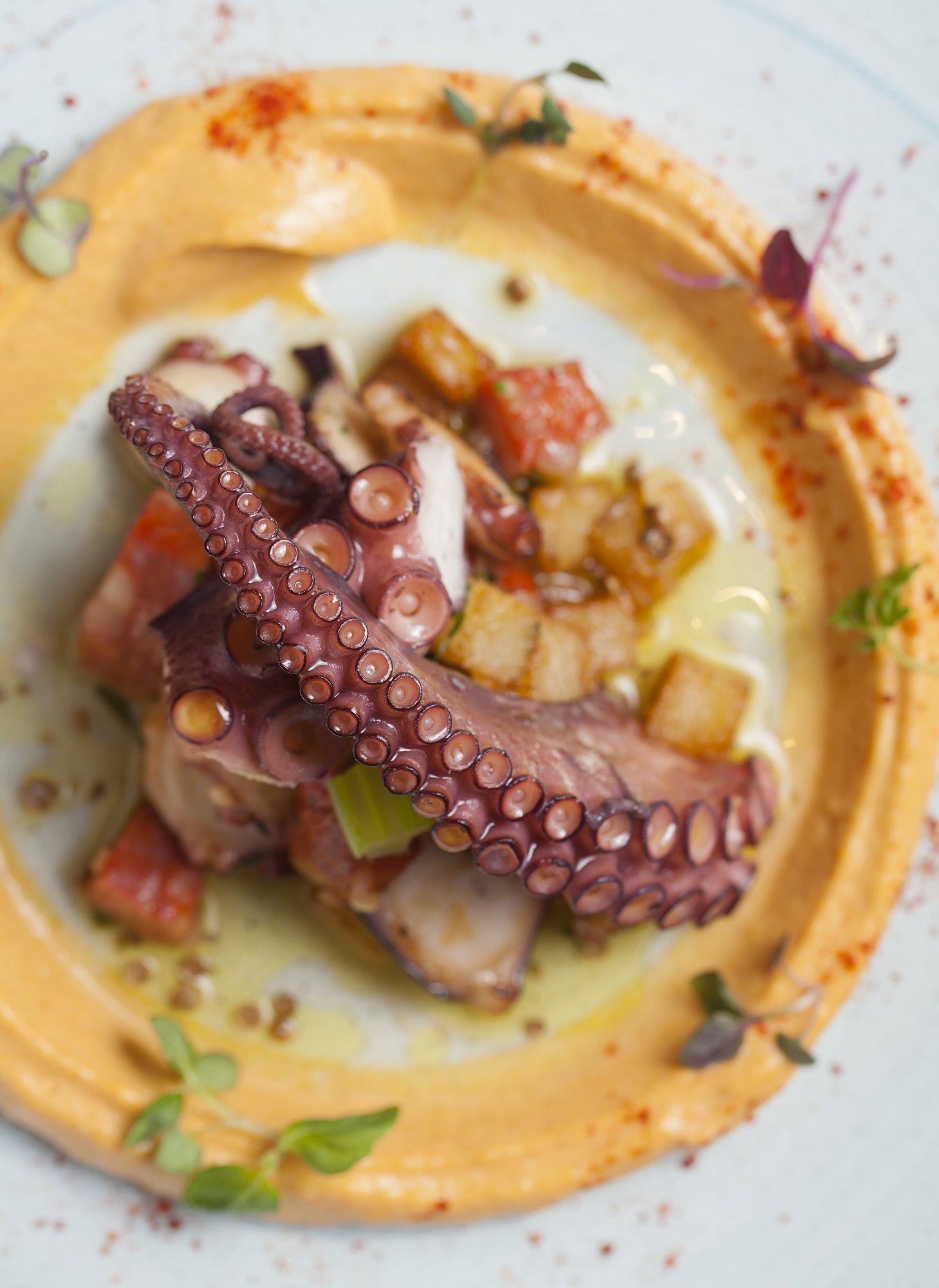 grilled-octopus-romesco-potatoes-plated.jpg