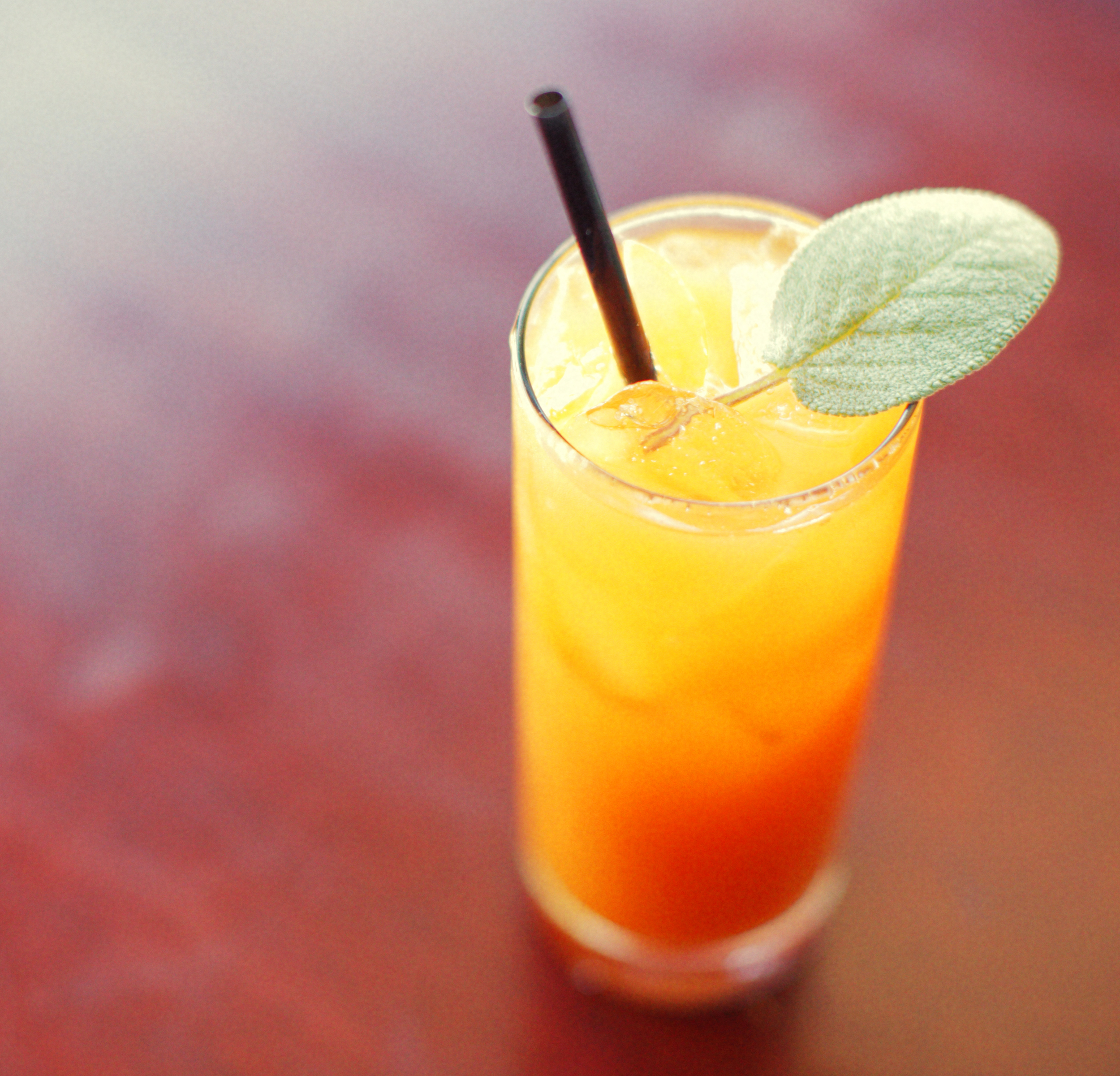 Orange cocktail. Photo: Jane Kortright