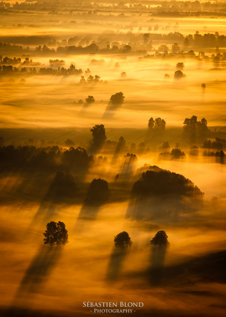 Ljubljana marshes with mists on an early Spring morning