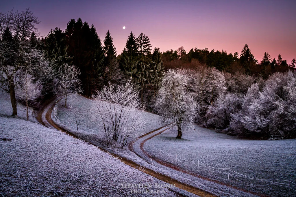 A beautiful frosty morning in the Slovenian hills