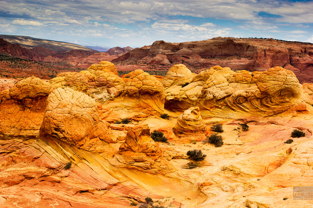 A section or orange rocks situated in the Paria Canyon-Vermillion Cliffs Wilderness on the border of Arizona and Utah