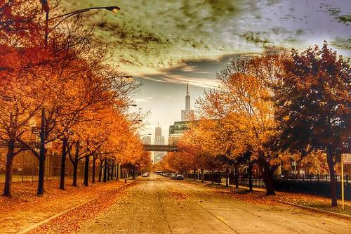 The changing leaves in Uptown Chicago