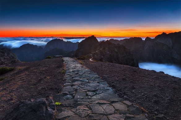Areeiro Mountains Trails by Miguel Nobrega