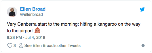 Screen Shot 2018-08-01 at 11.19.07 AM.png