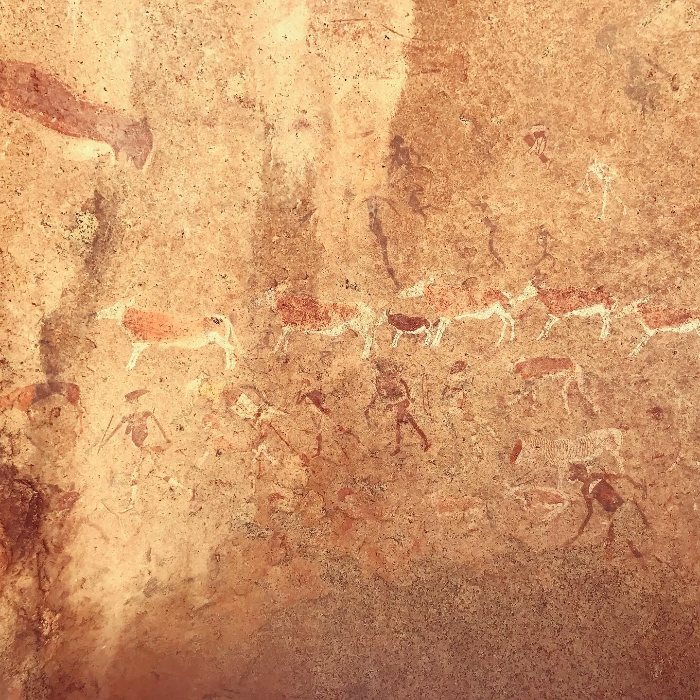 Rock Paintings at Brandberg