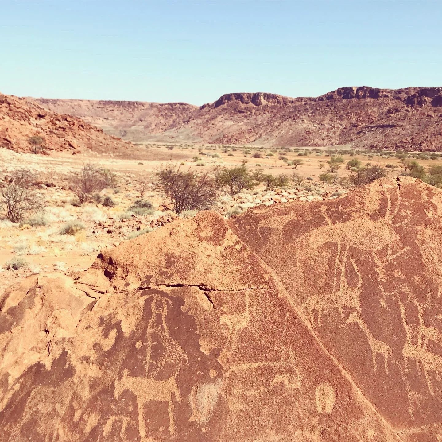 Rock Carvings at Twyfelfontein