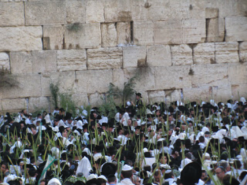 western wall2.png