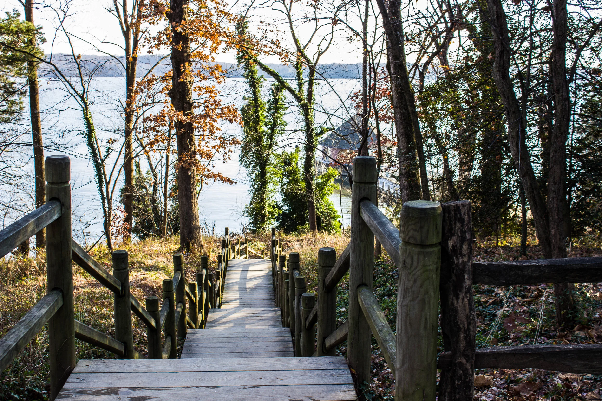 gate-at-mount-vernon.jpg