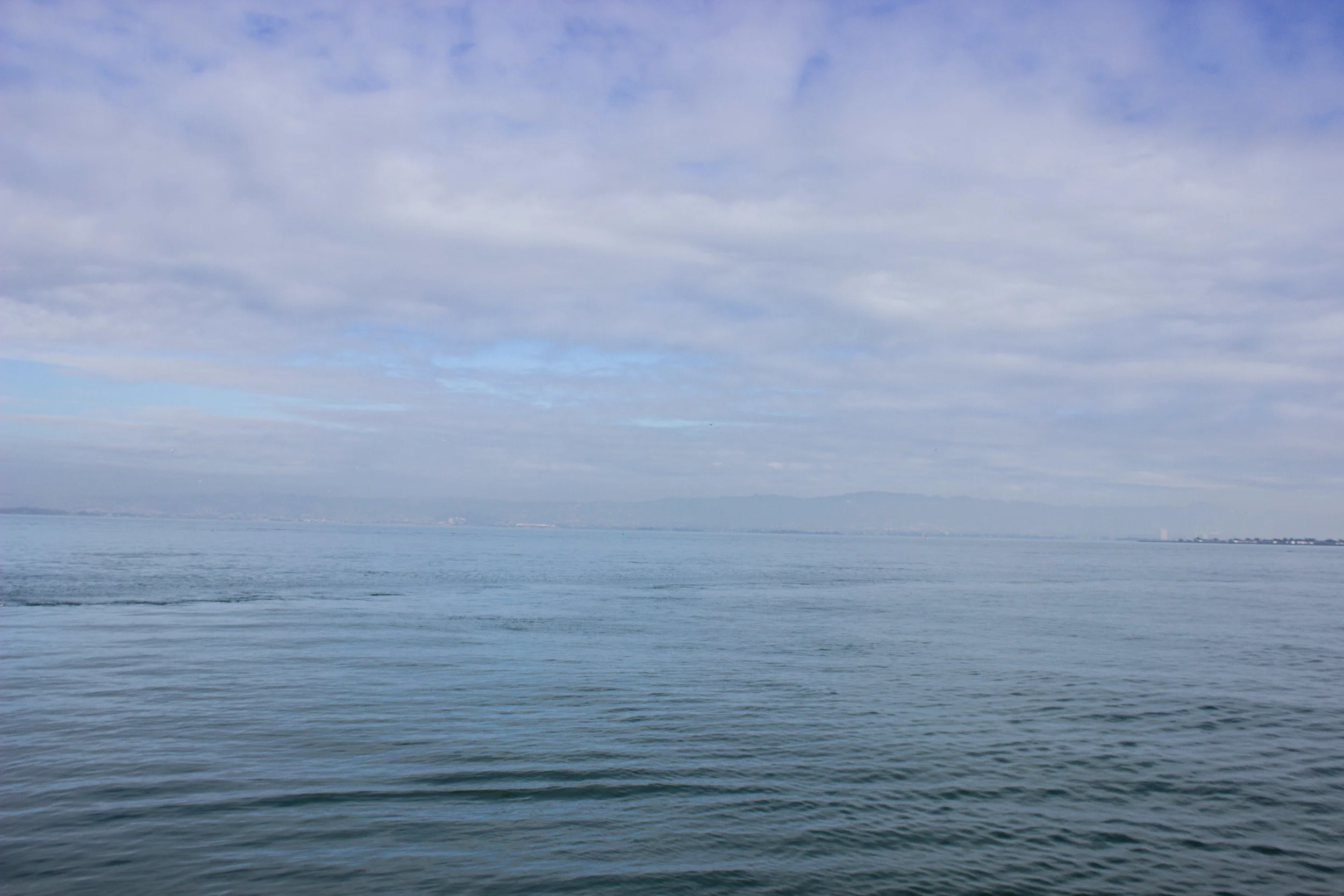 IMG_8282.jpg