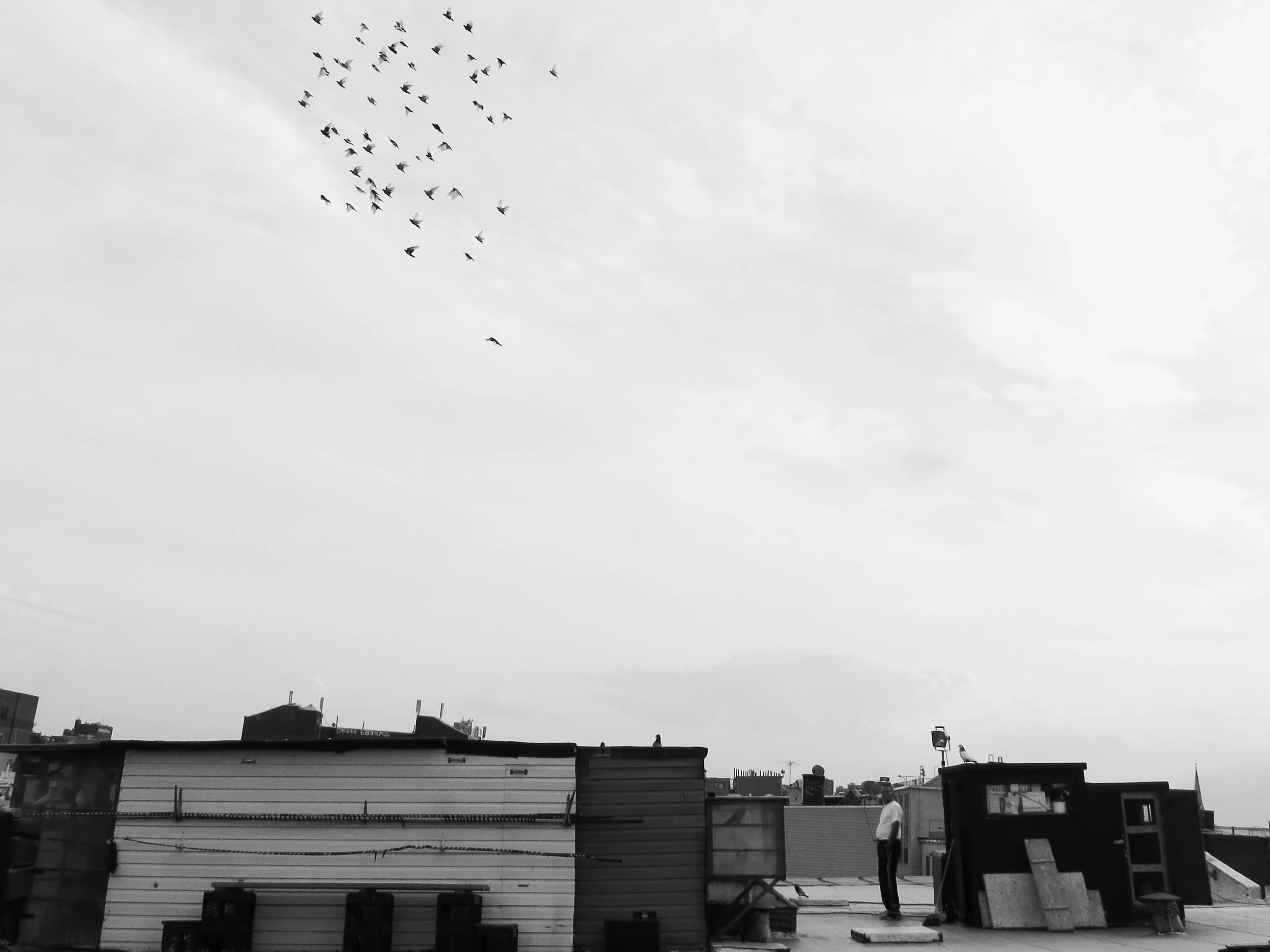 IMG_0052bw.jpg