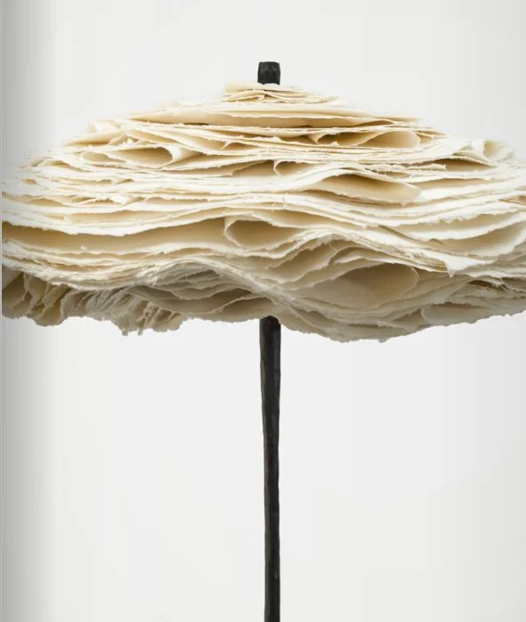 cronette close-up.jpg