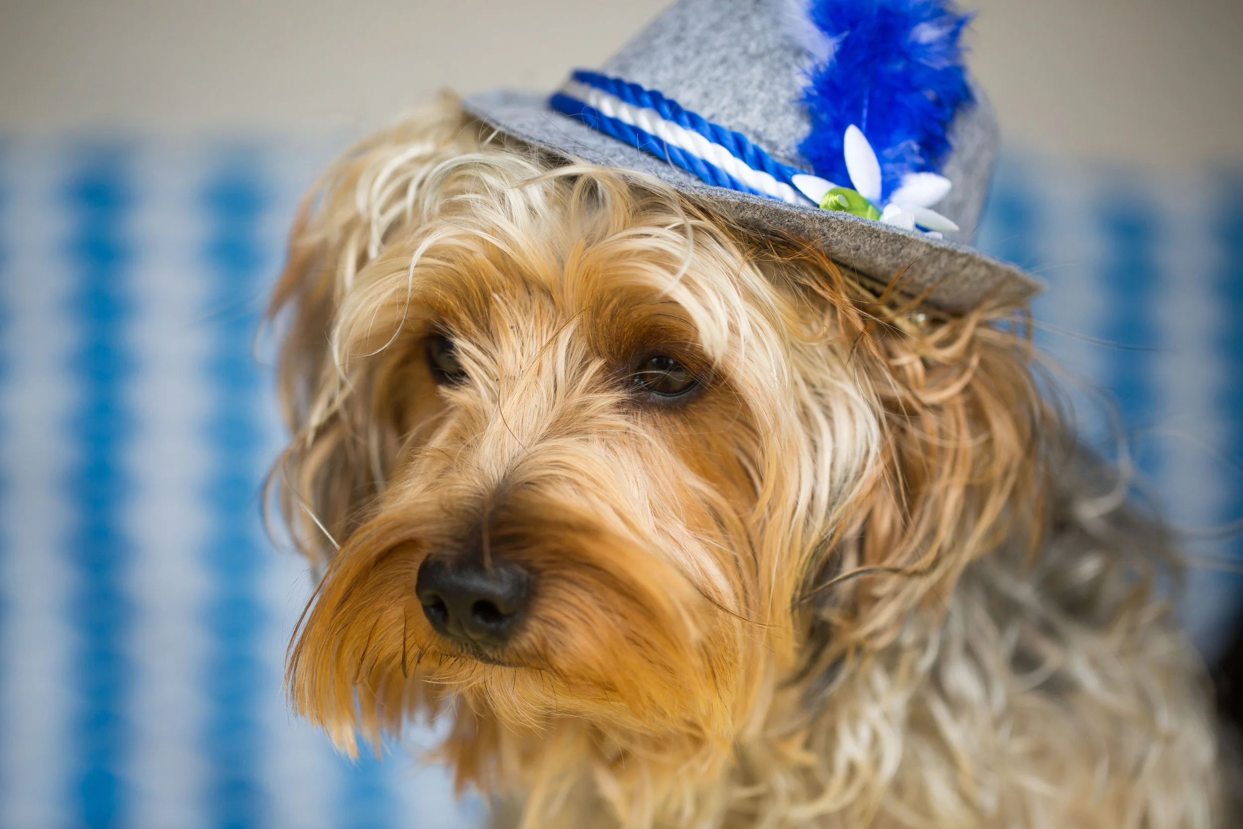 shutterstock_318145910.jpg