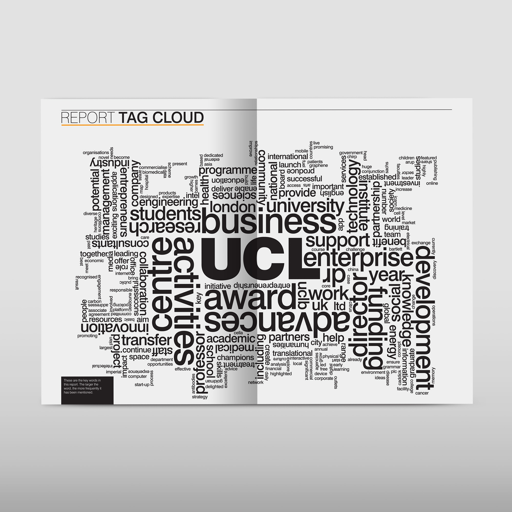 UCL annual report tag cloud.jpg