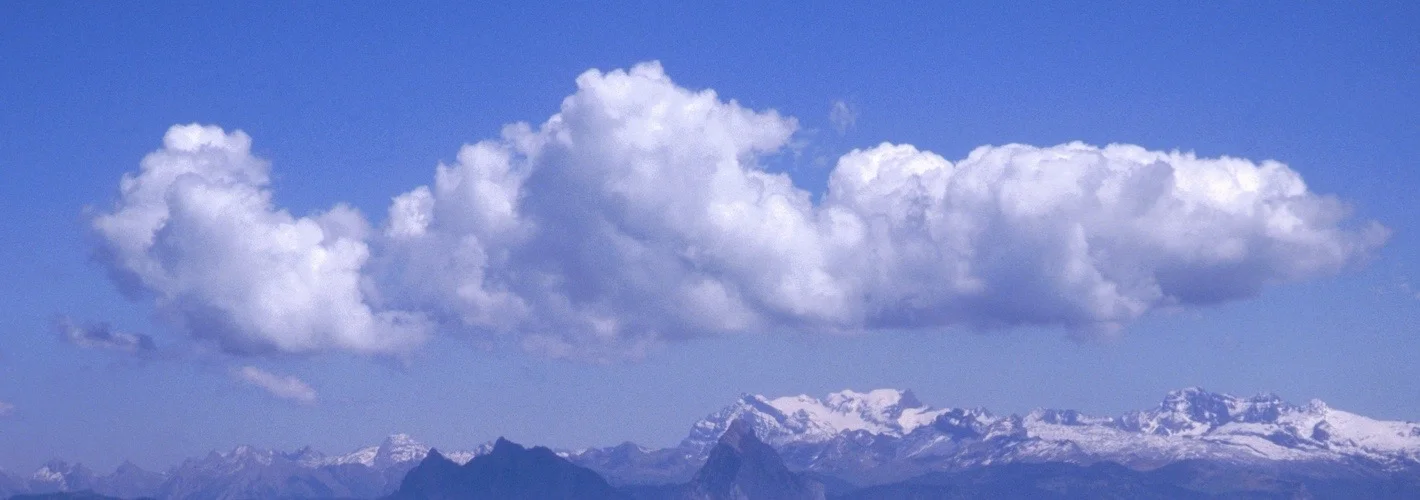 Graphic design tenders – the real cost