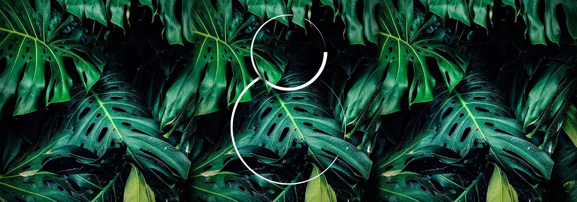 A non-designer's take on working at a London graphic design agency