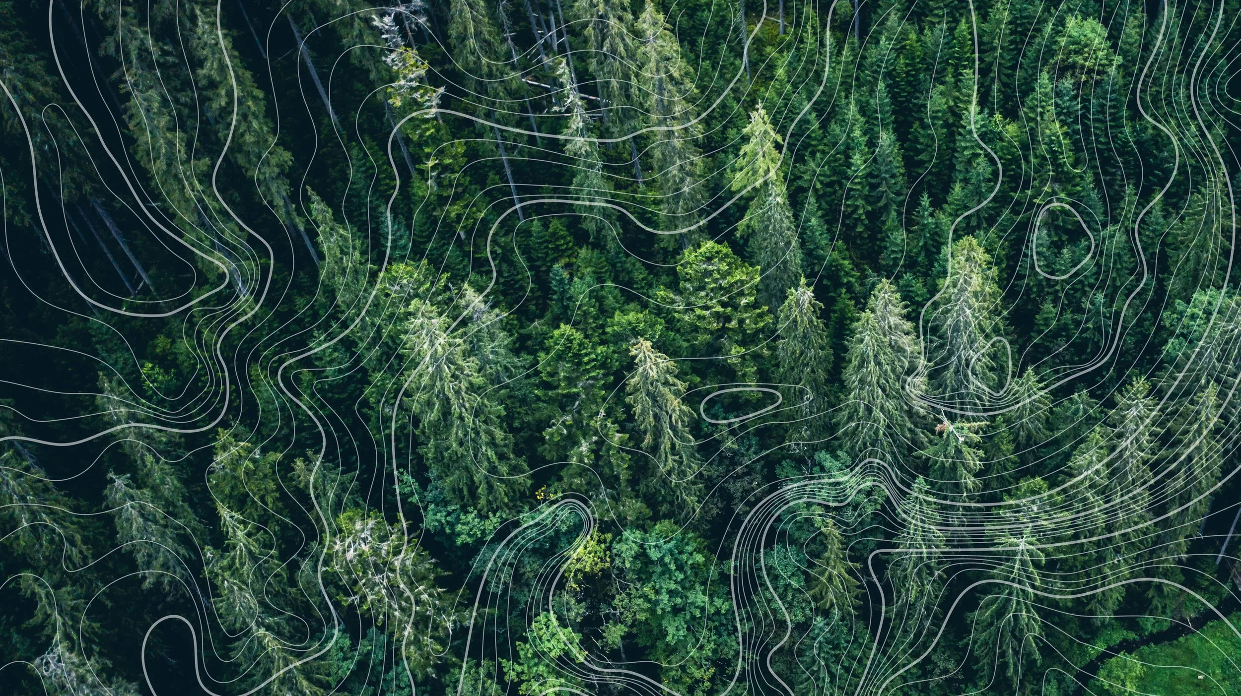 Maximising your ESG report impact