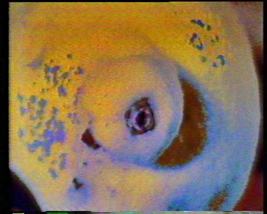 Go Into Your Fridge, 1983, video 14mins.