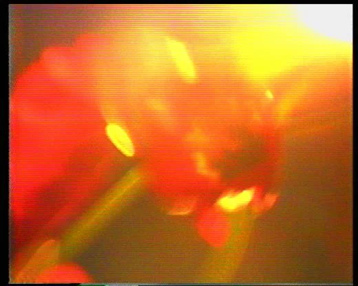 Time Spent 1982, video 12 mins