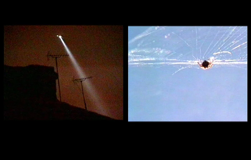 Caught, 2003 video, 4min loop, sound. First shown Cover Up, Calvin St, London