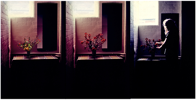 Wallflower Triptych 1979, installation -35mm slide-16mm projection