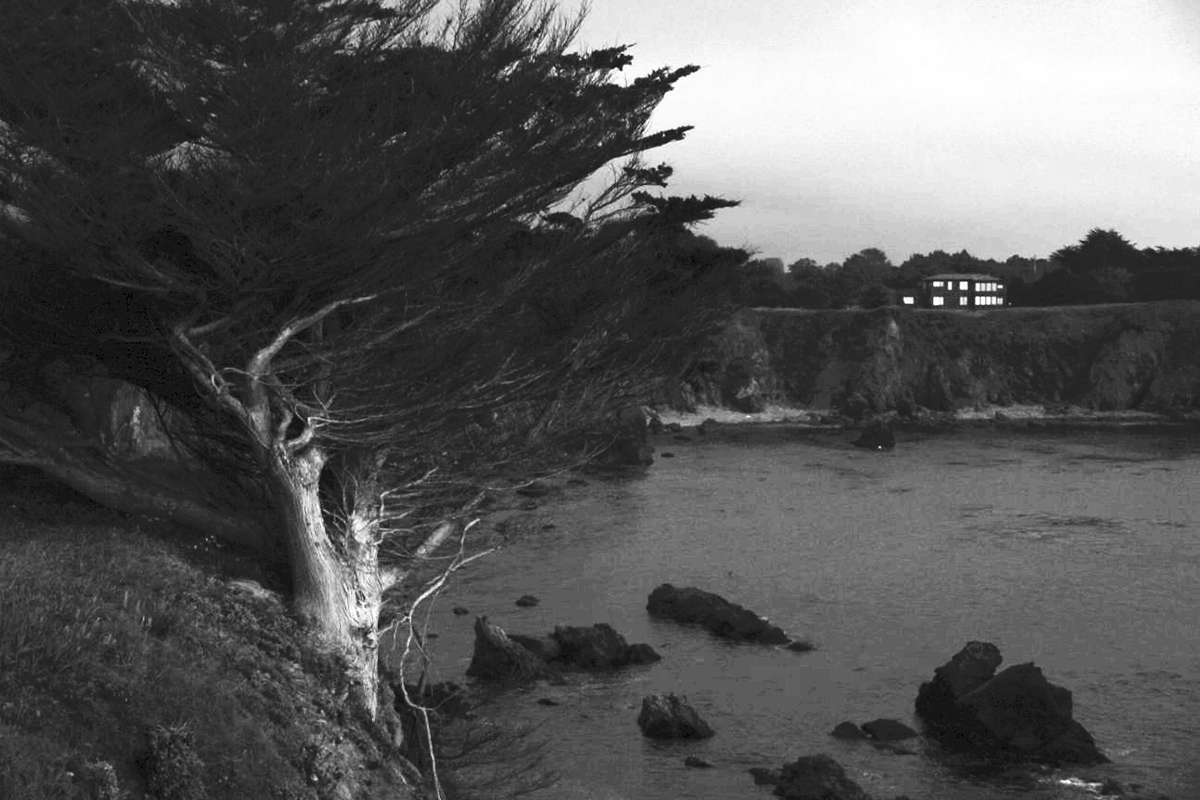 Mendocino, 2013