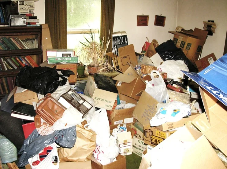 hoard-1.jpg