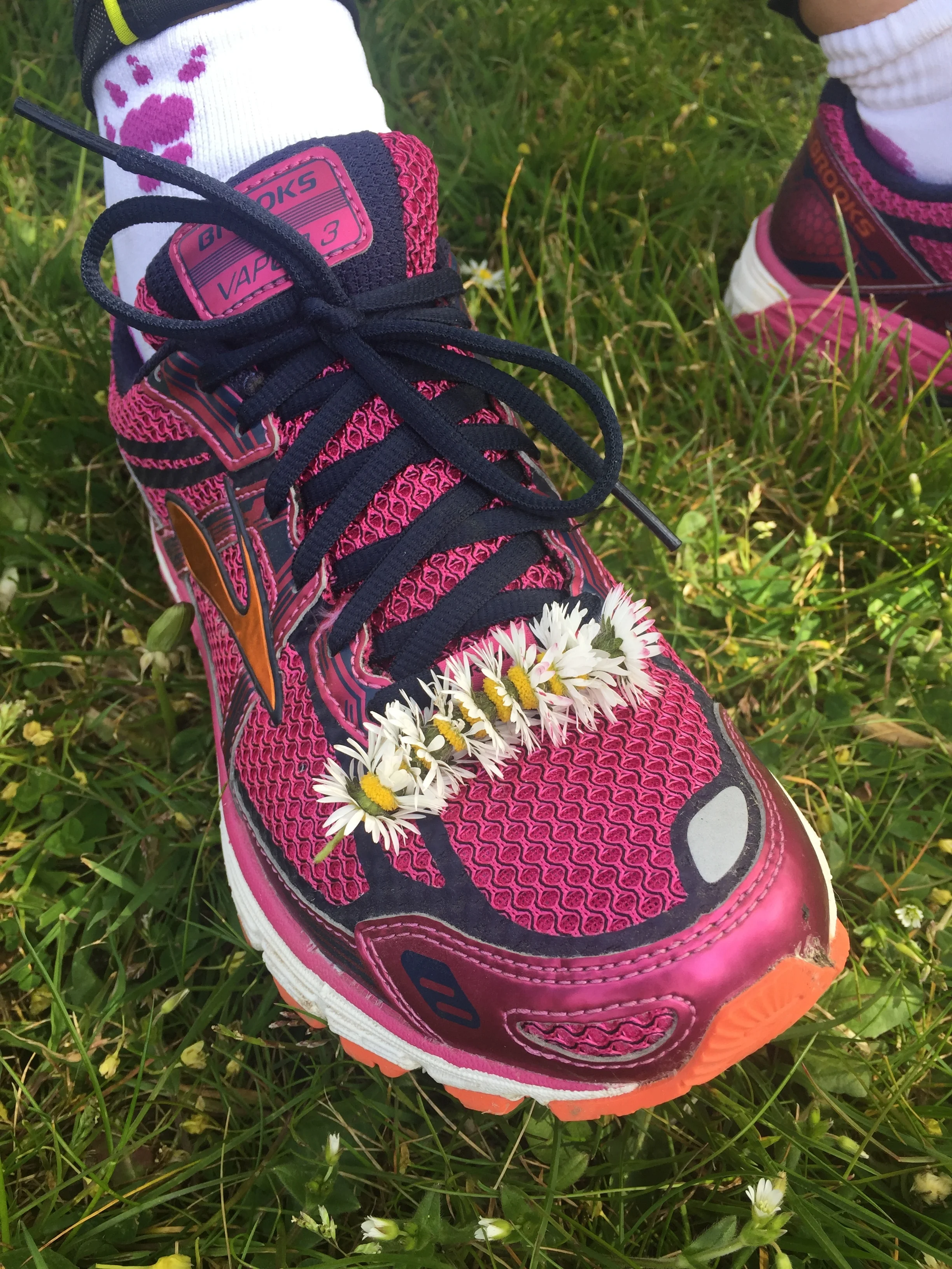 Diary of an SLJ Beginner - Week four.