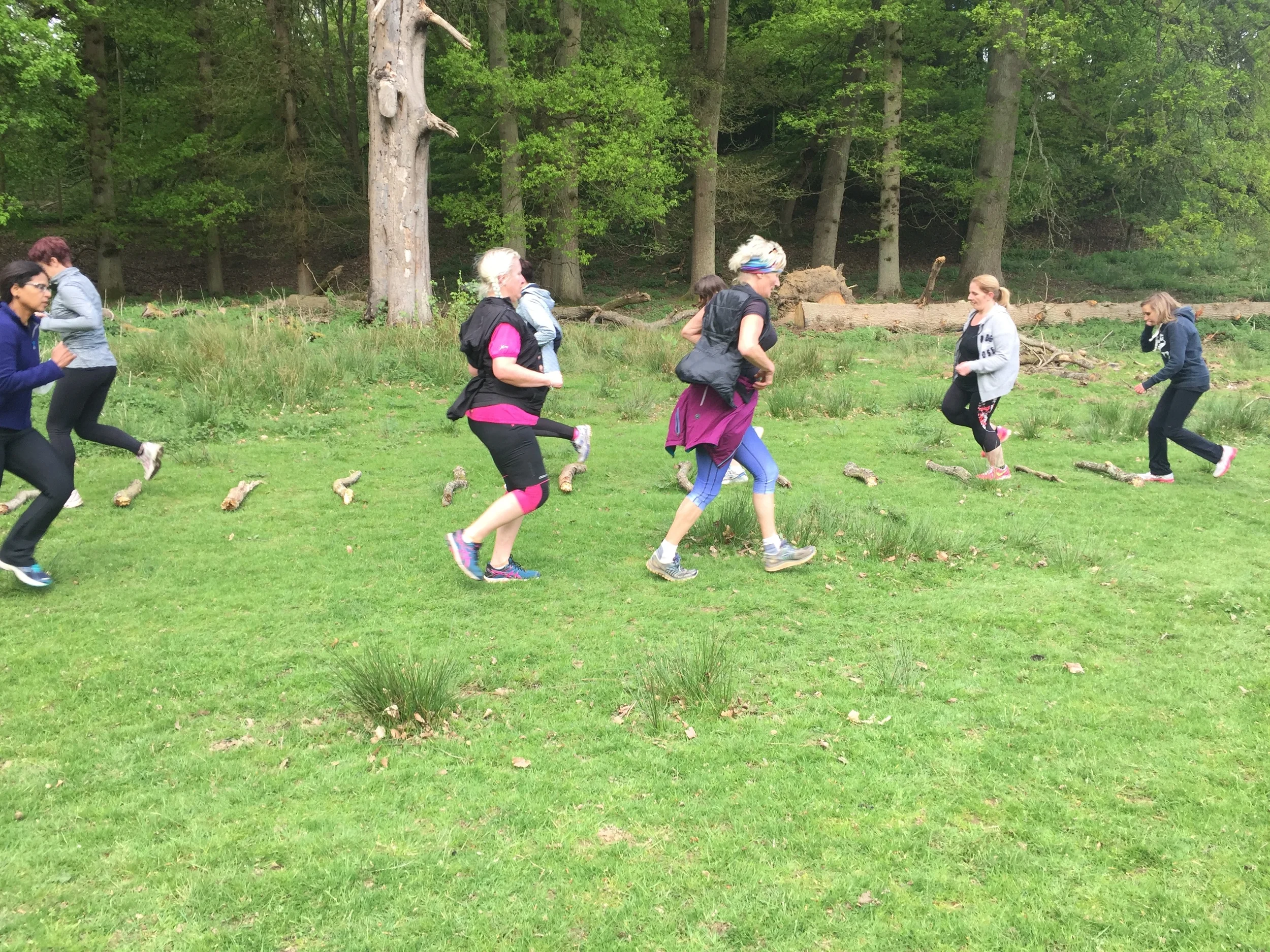 Diary of an SLJ Beginner - week 5 