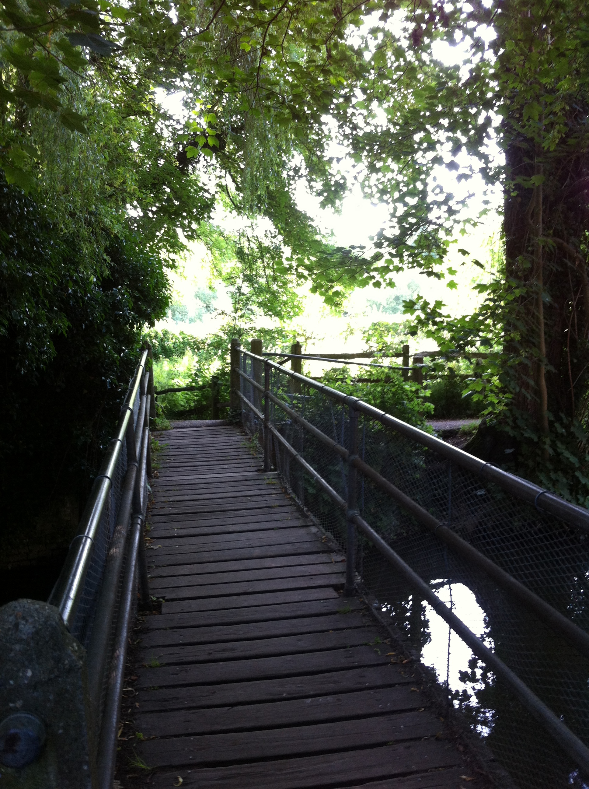 Diary of an aspiring half-marathon runner - week 11