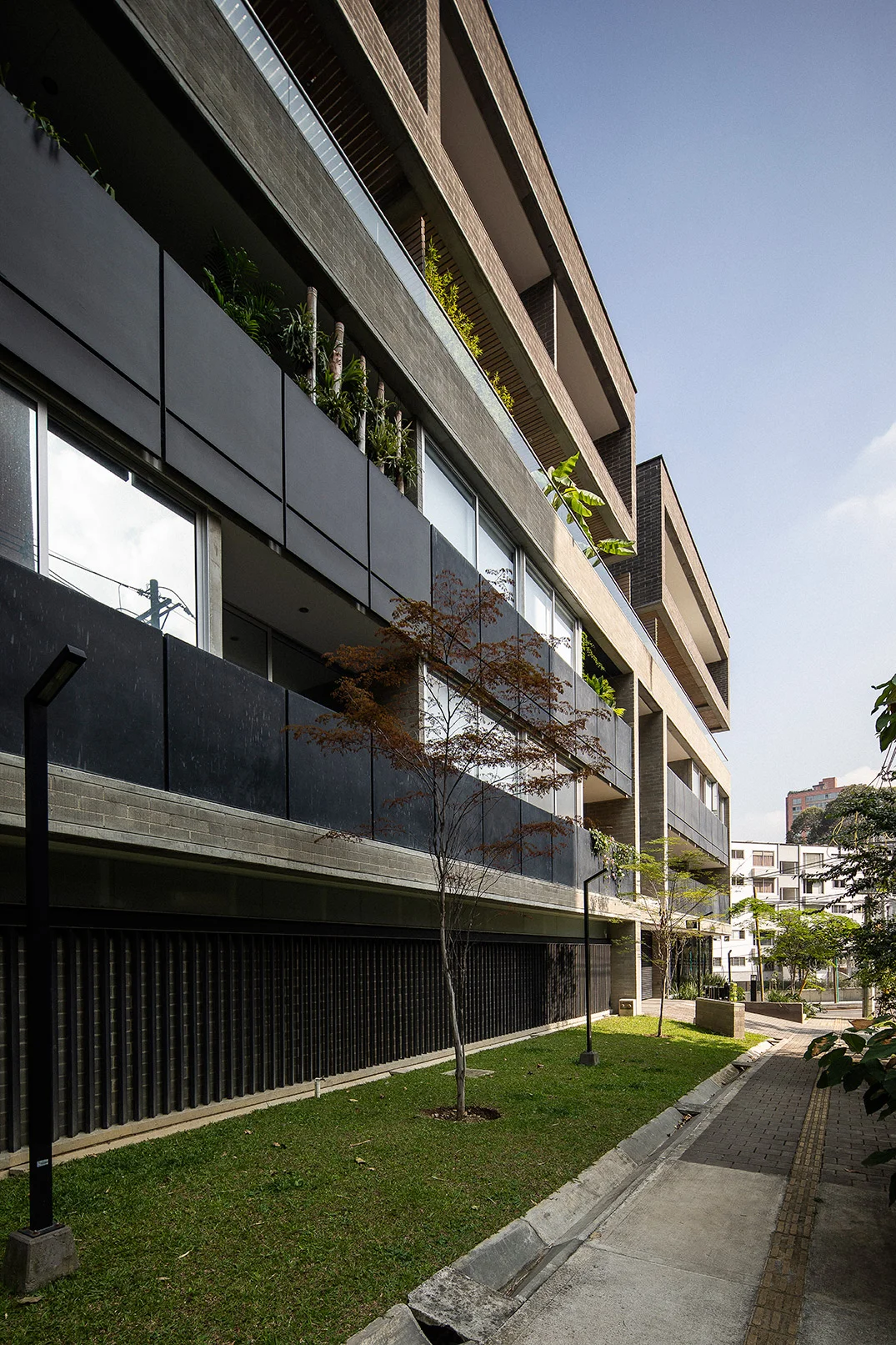 llano_arq_ed_obra15_11.jpg
