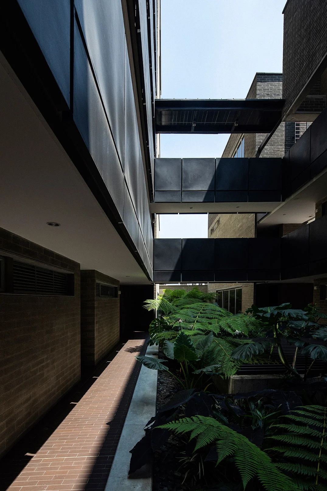llano_arq_ed_obra15_14.jpg