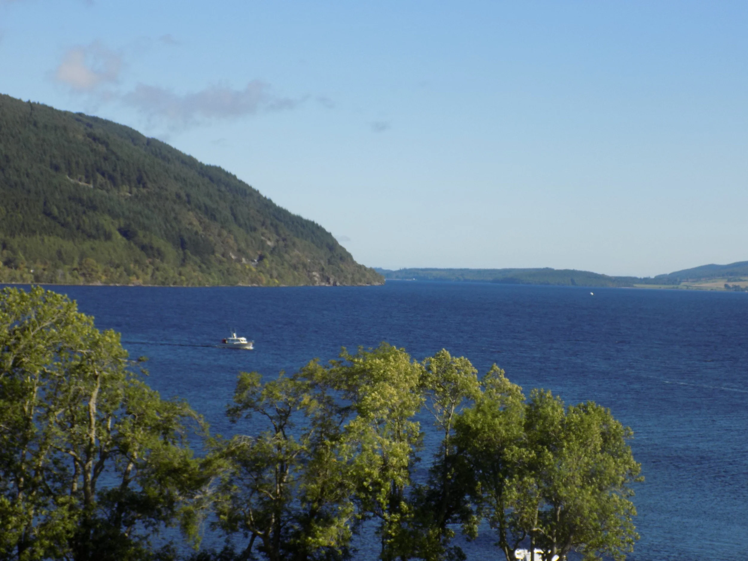 DSCN1341.JPG