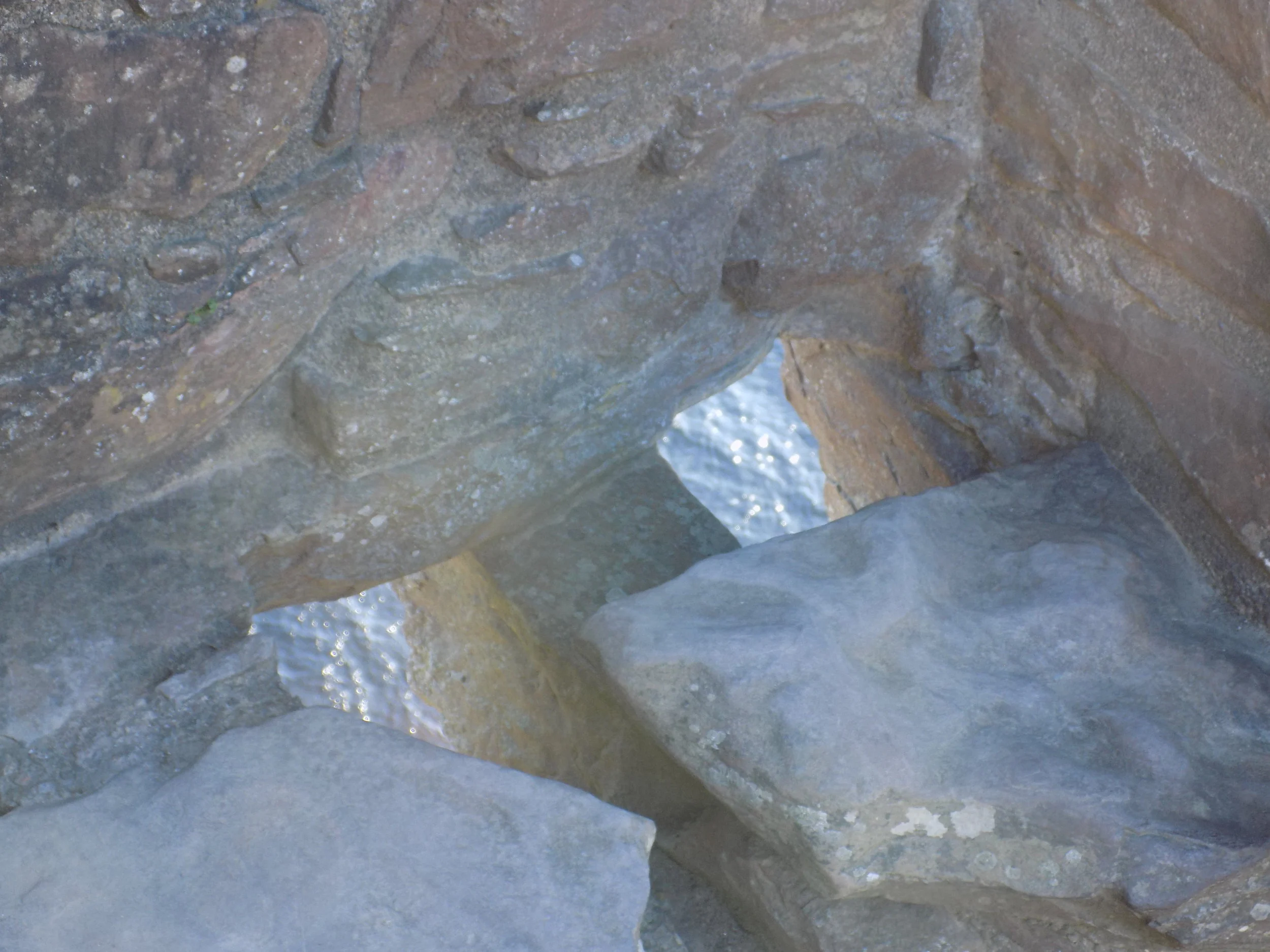 DSCN1383.JPG