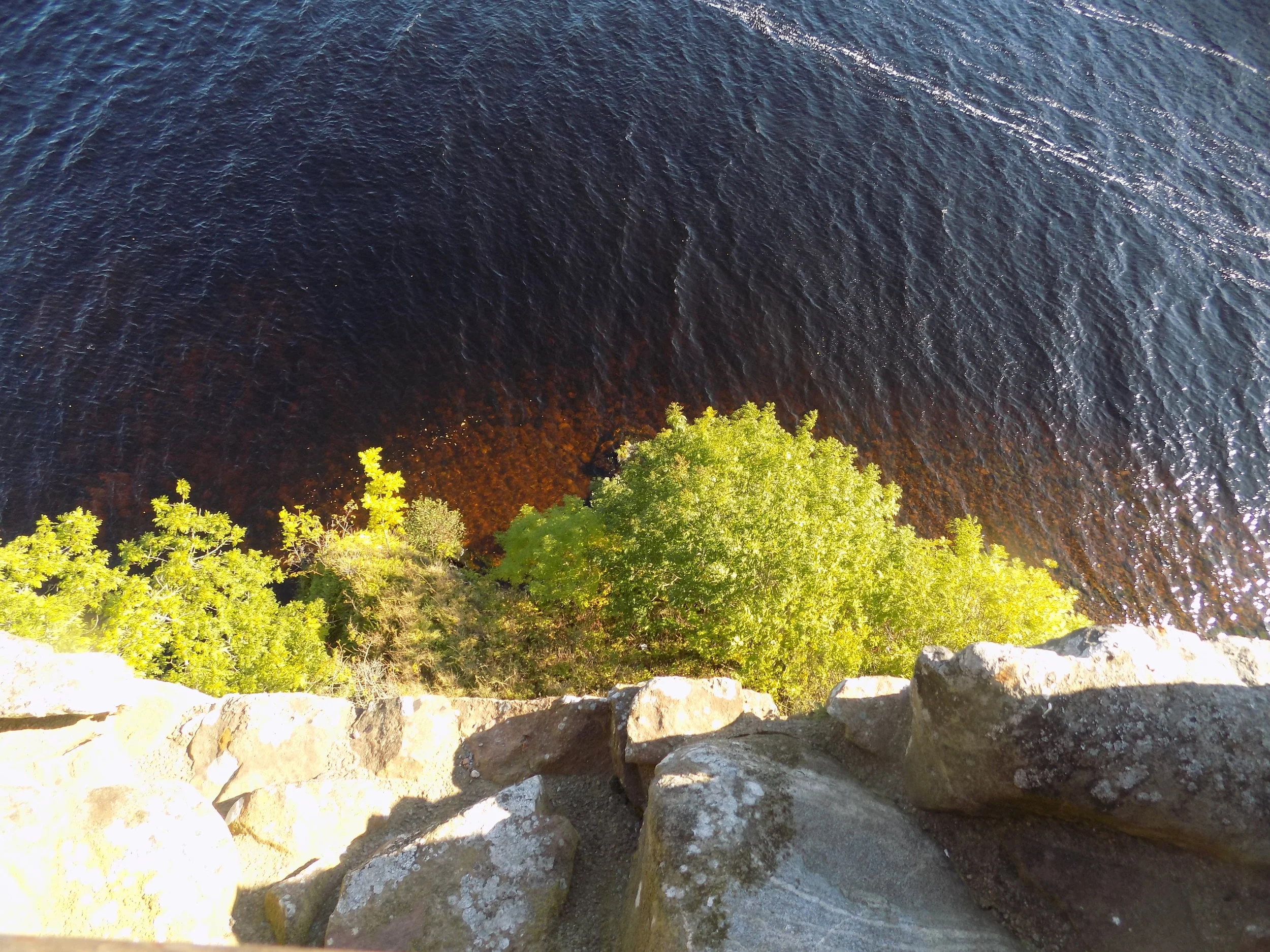DSCN1380.JPG