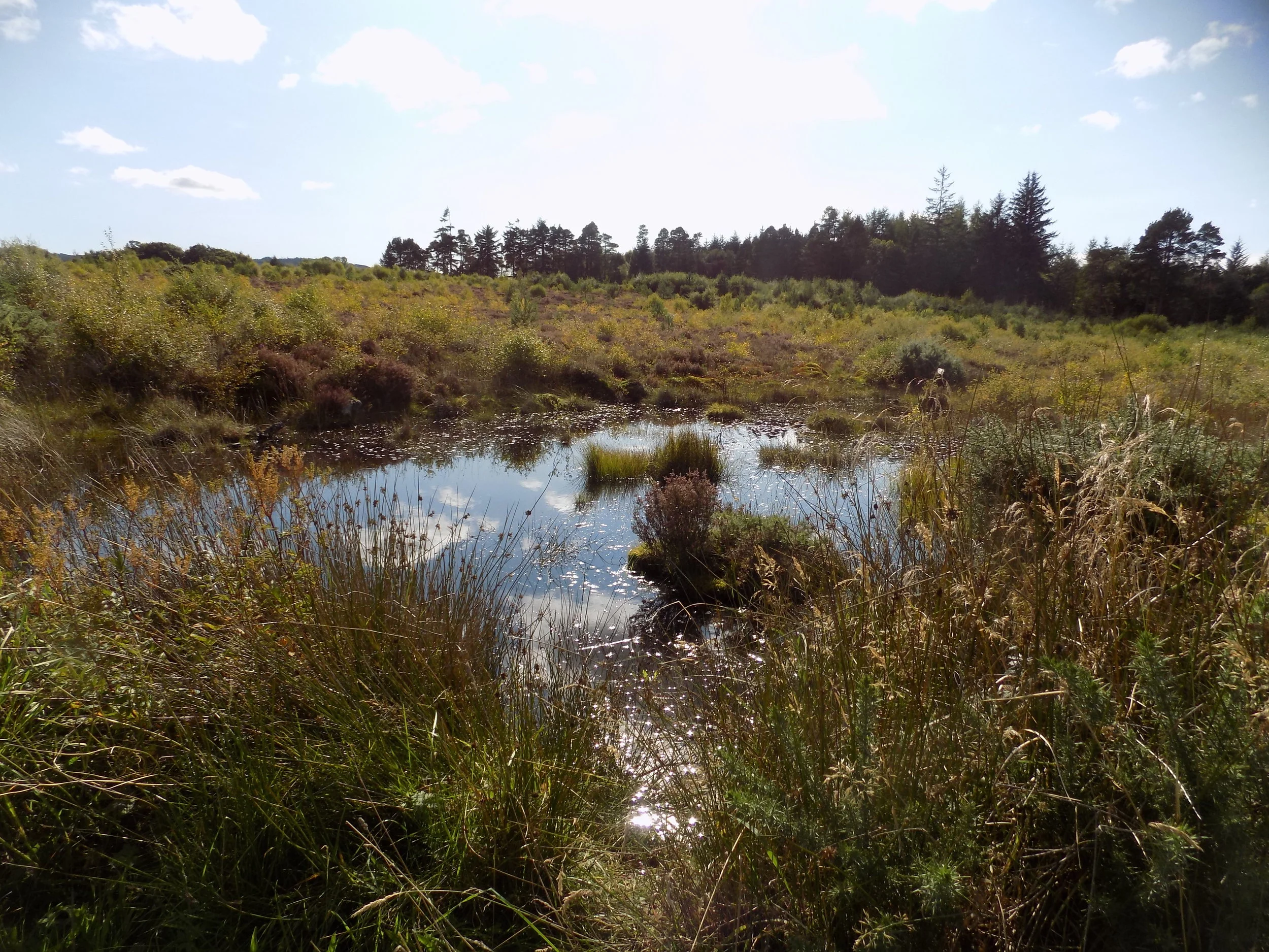 DSCN1418.JPG
