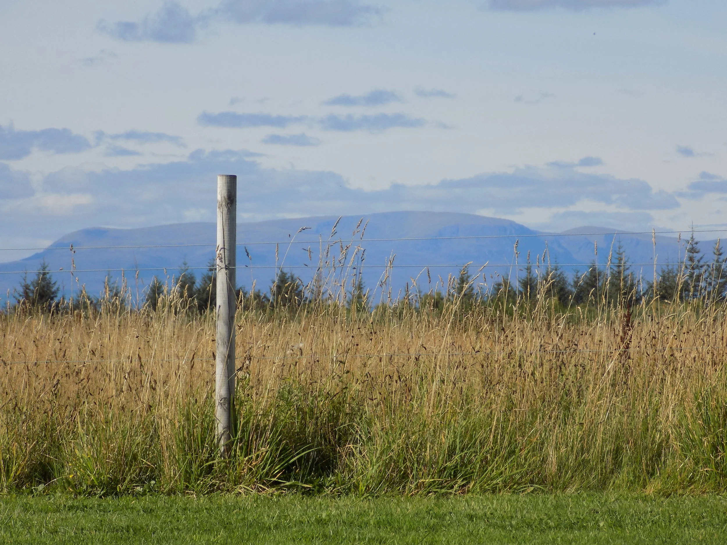 DSCN1426.JPG