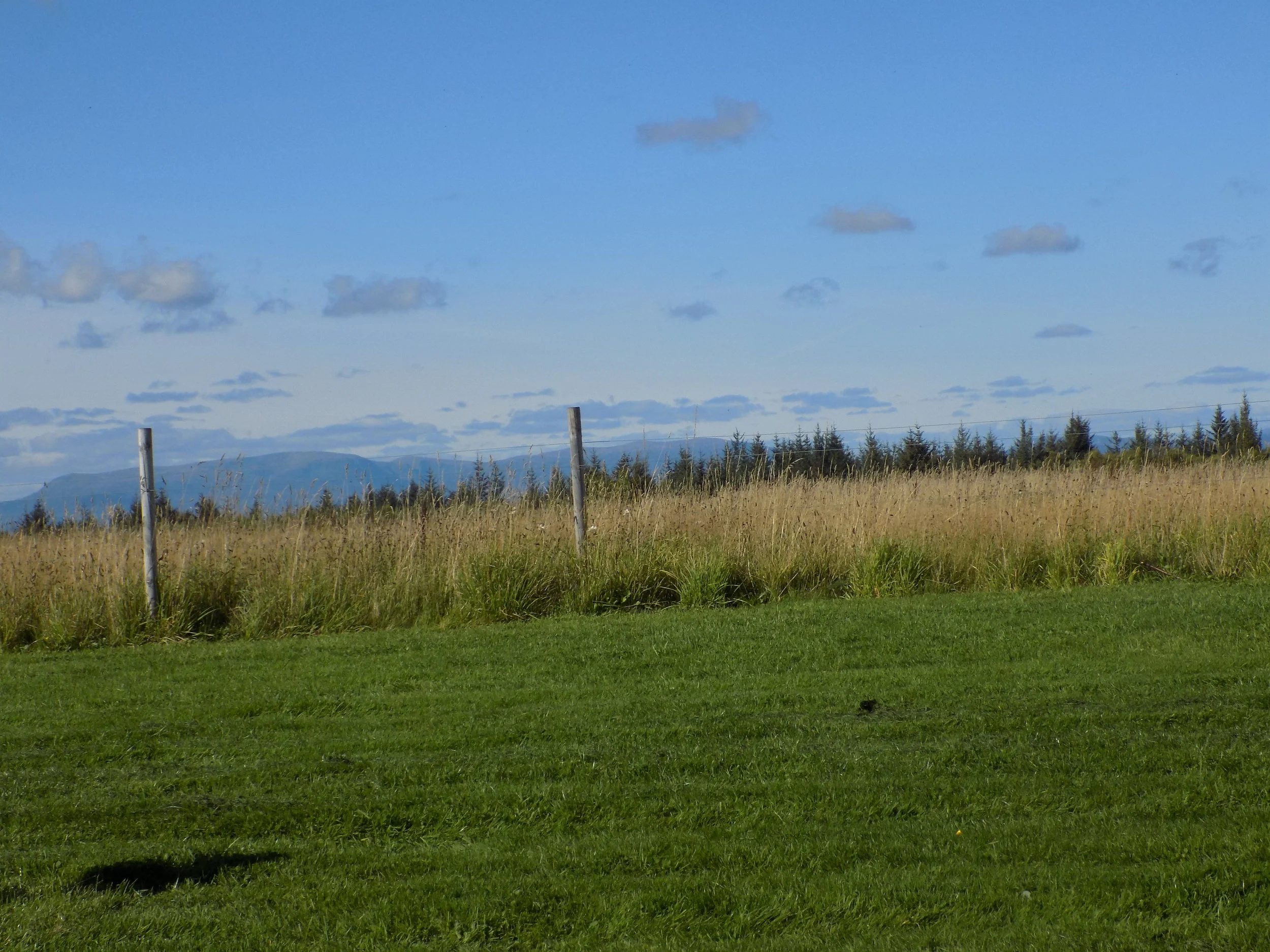 DSCN1424.JPG
