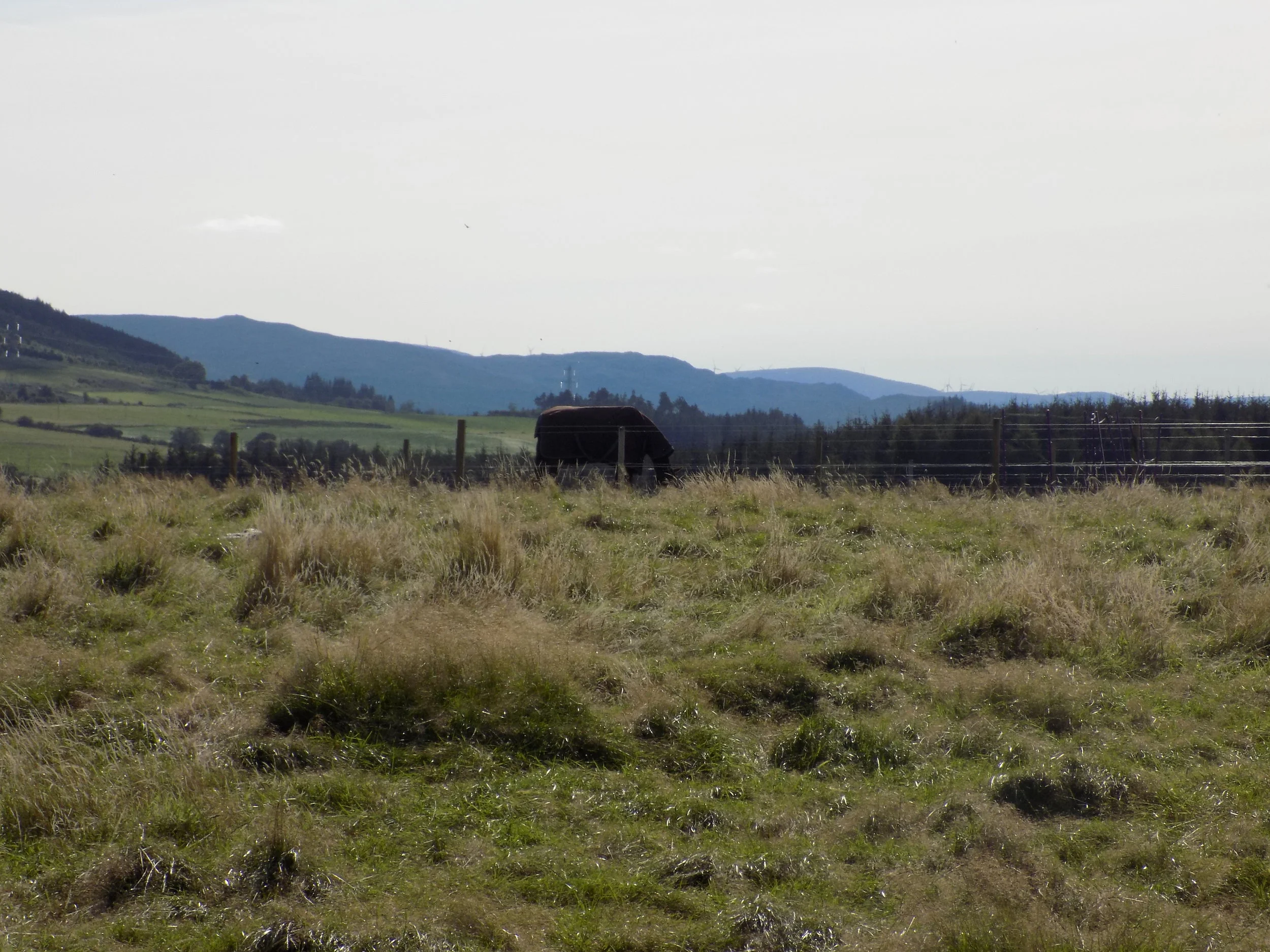 DSCN1432.JPG