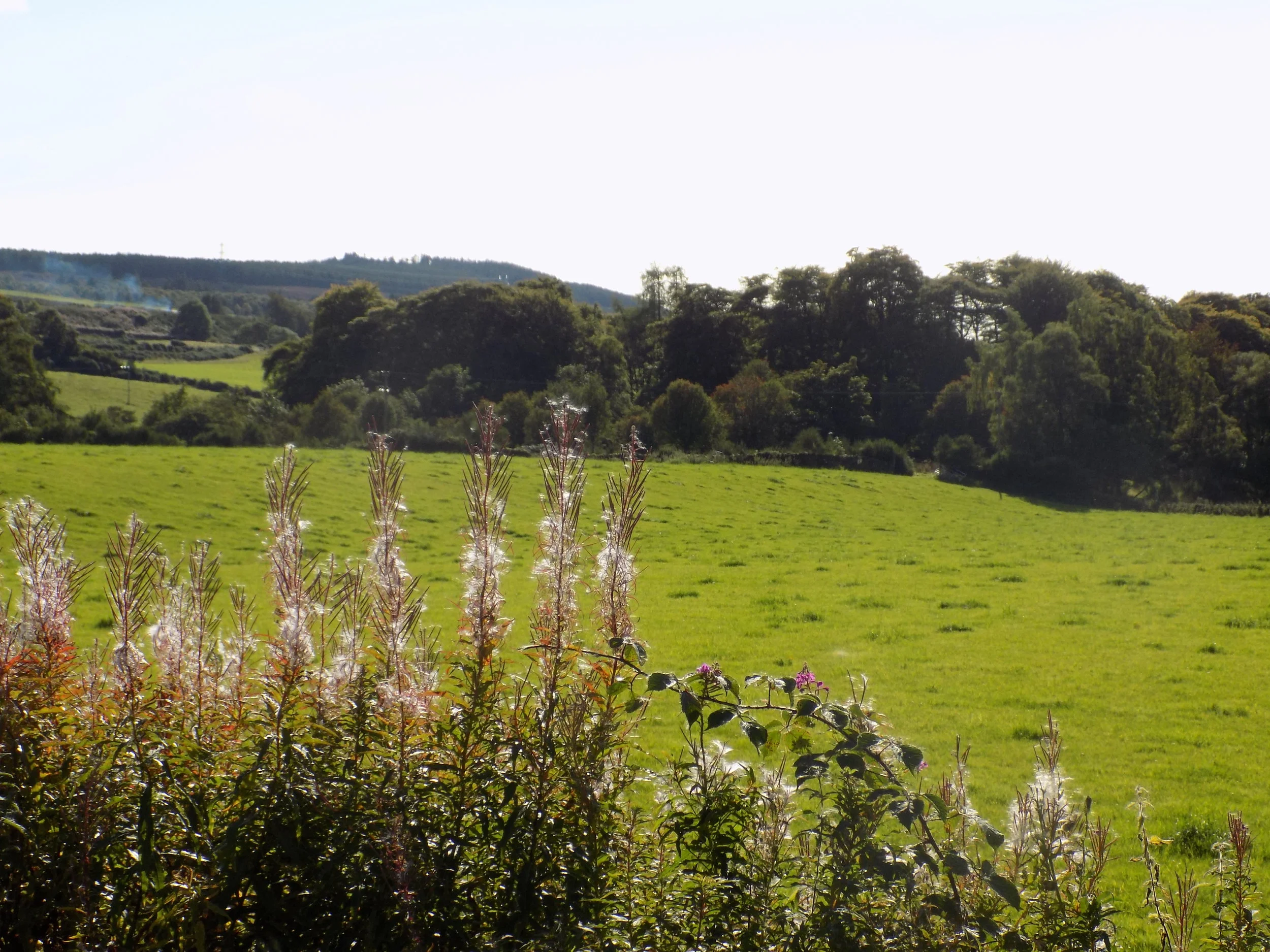 DSCN1441.JPG