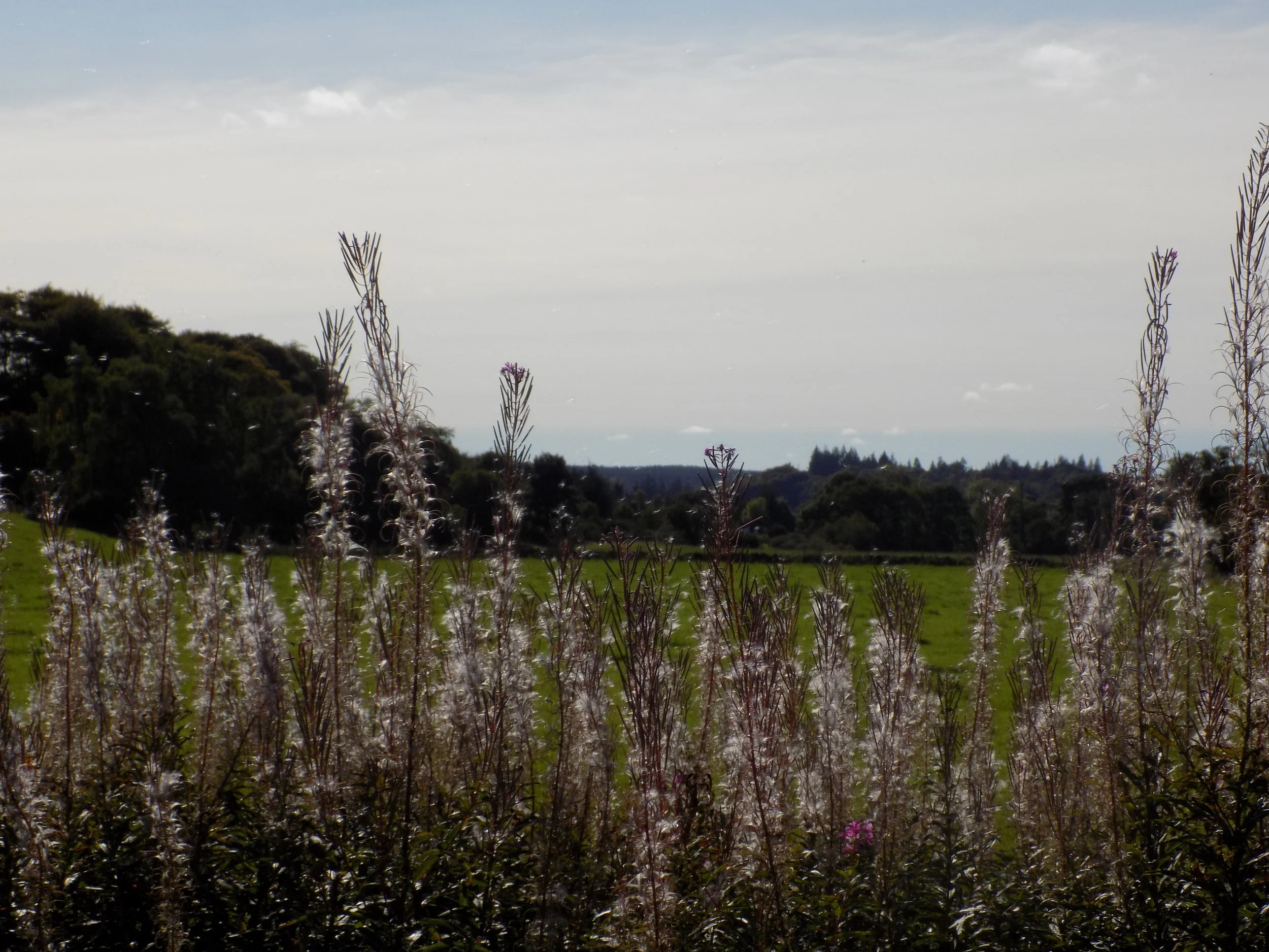 DSCN1442.JPG