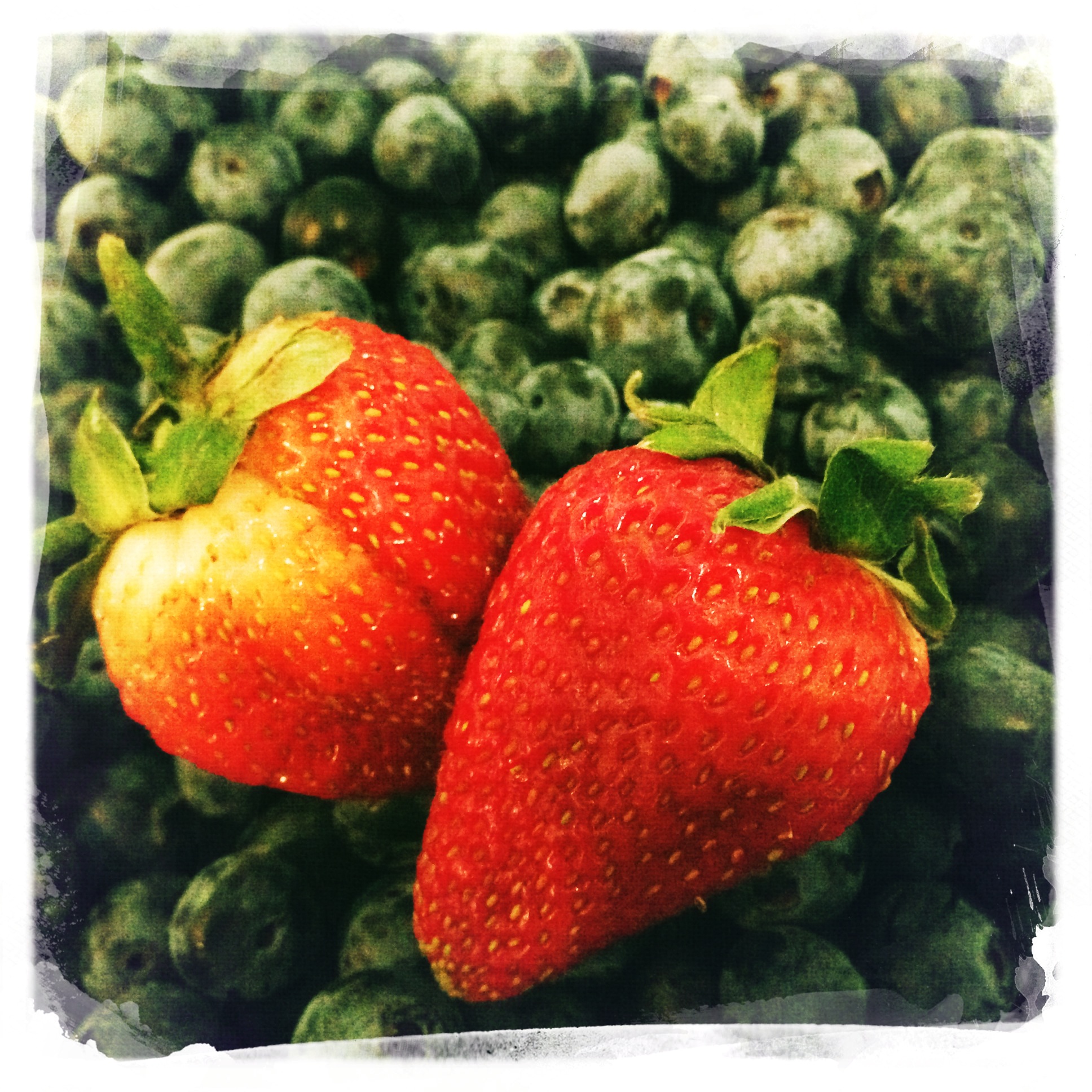 blueberrys and strawberrys pic.JPG